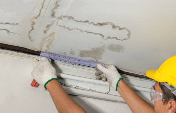 Reliable Flood Cleanup contractor in Chantilly, VA by Water Damage Irwin